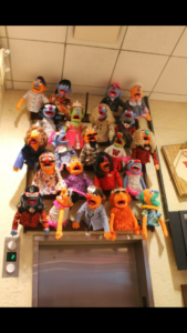 The wall of Muppets at FAO Schwarz close to what I had in mind at my own place.